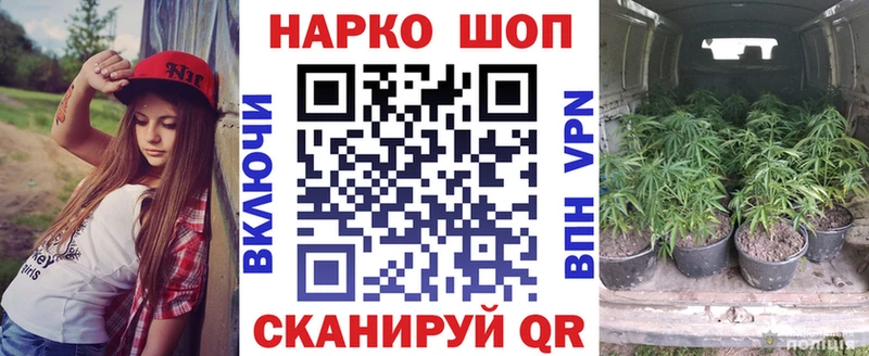 Магазин наркотиков Новая Ладога КОКАИН  Конопля  СК  ГАШ  Меф 