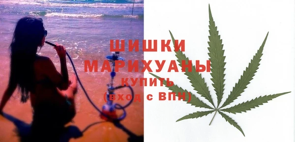 кокс Ельня