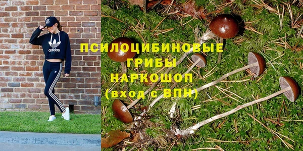 кокс Ельня