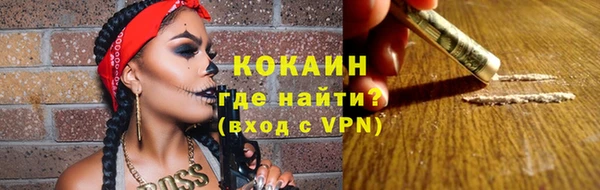 кокс Ельня