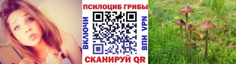 Псилоцибиновые грибы Magic Shrooms  Новая Ладога 